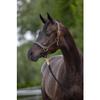 Kerbl Unisex's Eco Head Collar-Brown, Size 2 view 4