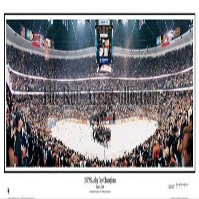 Everlasting Images Anaheim Ducks 2007 Stanley Cup Champions Stadium Panoramic Print - Standard Cherry Frame