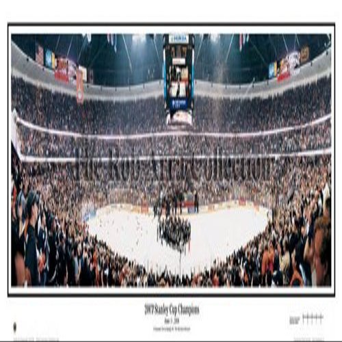 Everlasting Images Anaheim Ducks 2007 Stanley Cup Champions Stadium Panoramic Print - Standard Cherry Frame