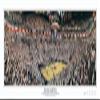 Everlasting Images Miami Heat American Airlines Arena 2006 NBA Champions Stadium Panoramic Print - Unframed view 1