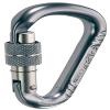Camp USA Picto Screwgate Carabiner Silver One Size view 1