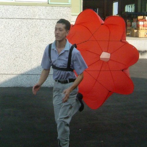Everrich Resistant Parachute