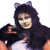 Cats Kit Adult Costume Accessory Set view 1
