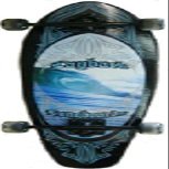 Layback Classic Complete Skateboard