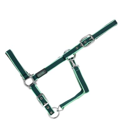 USG Halter with Silver Fittings/Soft Padded, Cob, Dark Green/Light Green