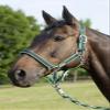 USG Halter with Silver Fittings/Soft Padded, Cob, Dark Green/Light Green view 2