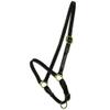 Gatsby Grooming Halter Horse Havana view 1