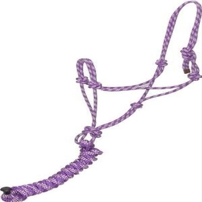 Gatsby Two-Tone Cowboy Halter w/Lead Purple/Pink