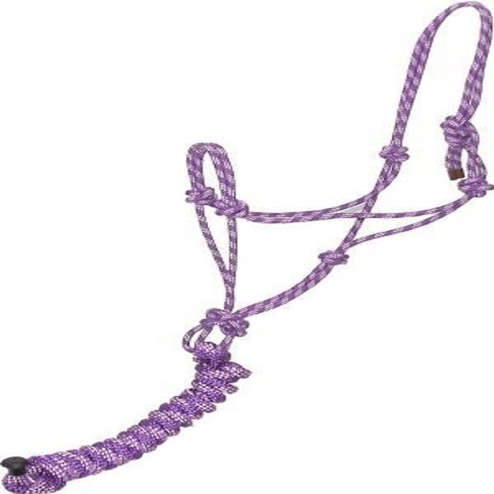 Gatsby Two-Tone Cowboy Halter w/Lead Purple/Pink