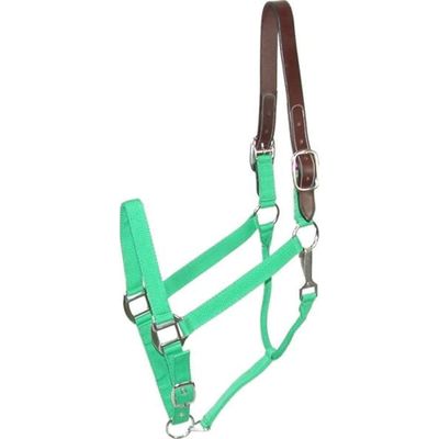 Gatsby Nylon Breakaway Halter Horse Green