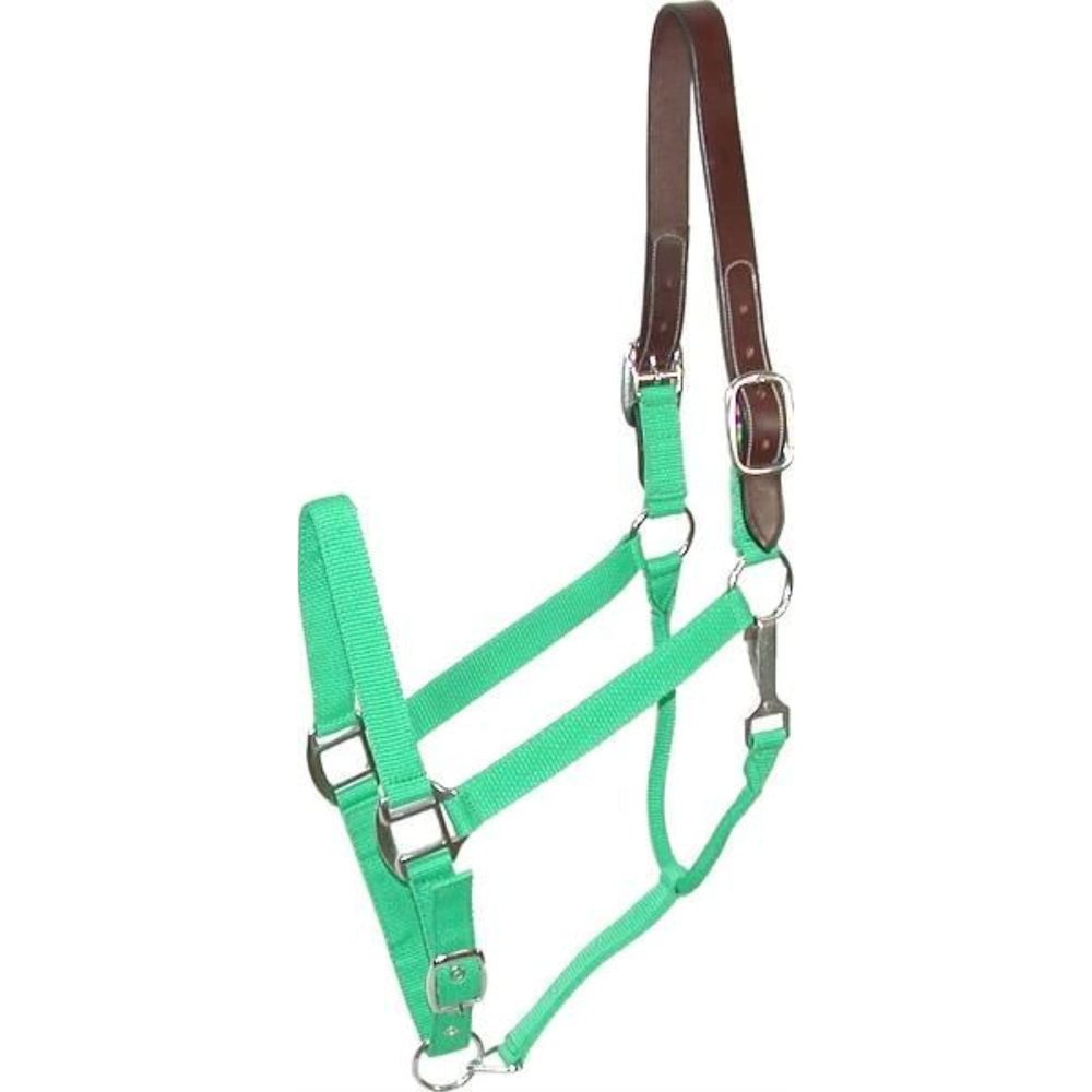 Gatsby Nylon Breakaway Halter Horse Green