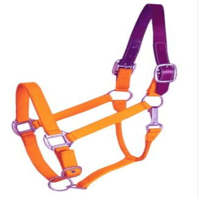 Gatsby Nylon Breakaway Halter Cob Orange
