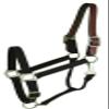 Gatsby Nylon Breakaway Halter Cob Orange view 2