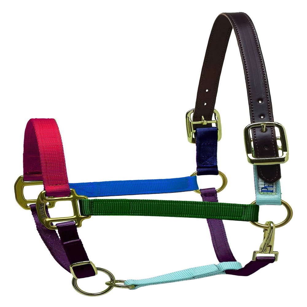 Perri's Premium Nylon Safety Halter, Multi, Oversize