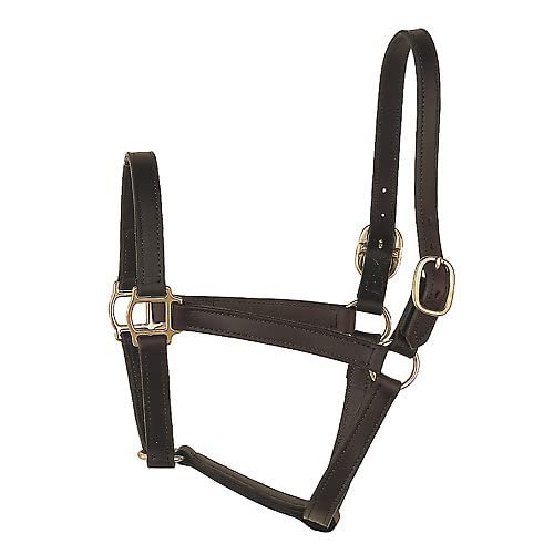 Perri's Track Style Leather Turnout Halter, Havana, Cob