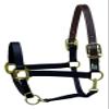 Perri's Premium Nylon Safety Halter, Black, Mini B view 1