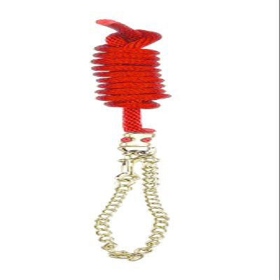 Perri's Poly Nylon Lead with 30-Inch Chain, Red, 8-Feet 30-Inch