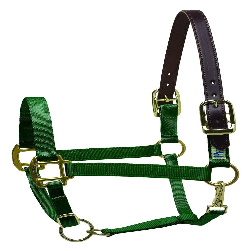 Perri's Premium Nylon Safety Halter, Hunter Green, Oversize