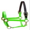 Perri's Premium Nylon Safety Halter, Lime, Oversize view 1