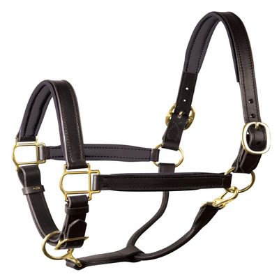 Perri's Horse Soft Padded Leather Halter, Black/Black/Brass