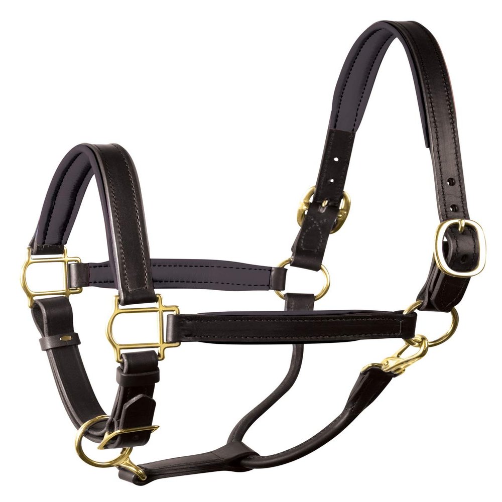 Perri's Horse Soft Padded Leather Halter, Black/Black/Brass