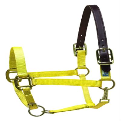 Perri's Premium Nylon Safety Halter, Yellow, Oversize