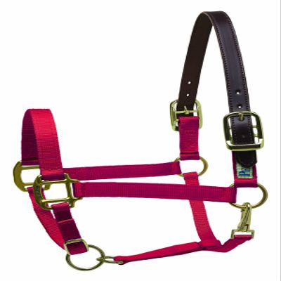 Perri's Premium Nylon Safety Halter, Red, Oversize