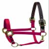 Perri's Premium Nylon Safety Halter, Red, Oversize view 1