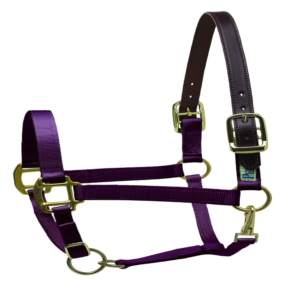 Perri's Premium Nylon Safety Halter, Pony, Burgundy