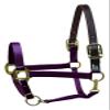 Perri's Premium Nylon Safety Halter, Pony, Burgundy view 1
