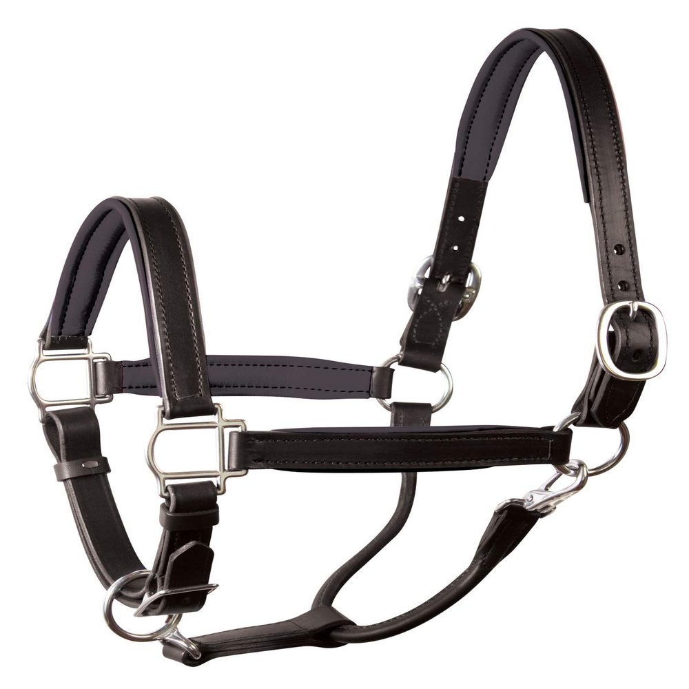 Perri's Soft Padded Leather Halter, Black/Black/Brass, Oversize