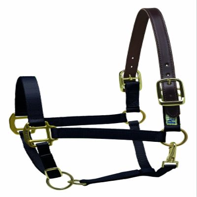 Perri's Premium Nylon Safety Halter, Pony, Black