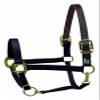 Perri's Premium Nylon Safety Halter, Pony, Black view 1