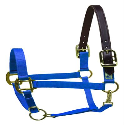 Perri's Premium Nylon Safety Halter, Pony, Royal Blue