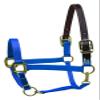 Perri's Premium Nylon Safety Halter, Pony, Royal Blue view 1