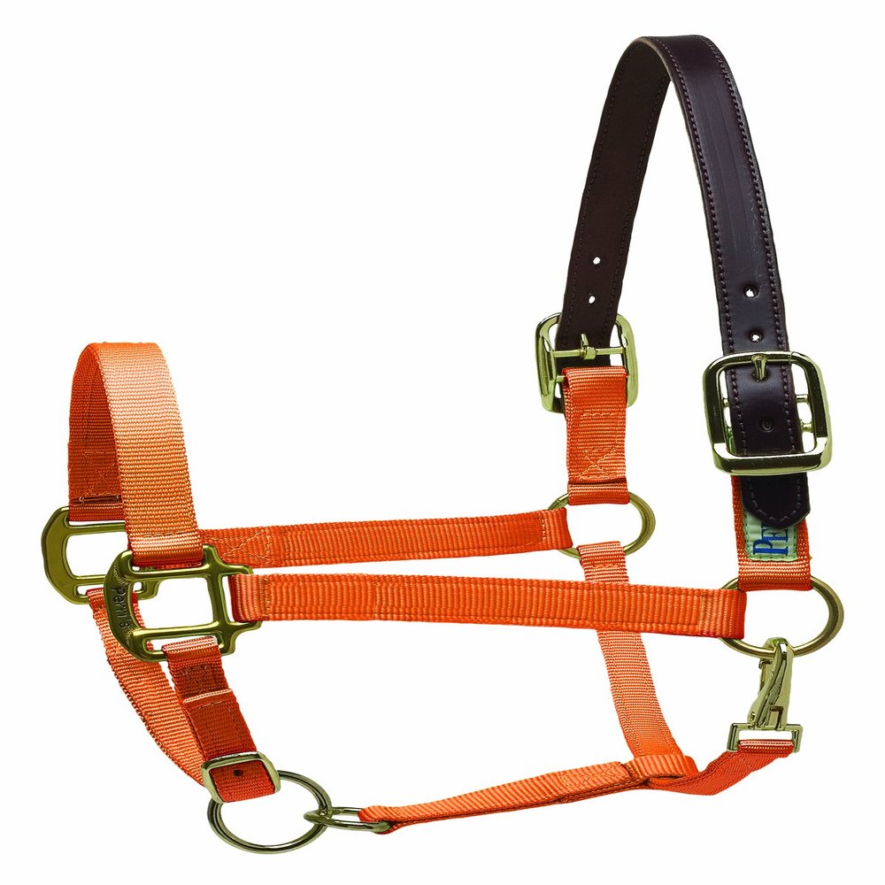 Perri's Premium Nylon Safety Halter, Orange, Cob