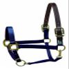 Perri's Premium Nylon Safety Halter, Navy, Cob view 1