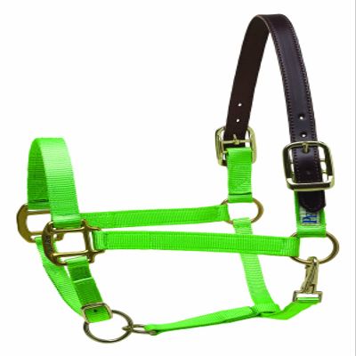 Perri's Premium Nylon Safety Halter, Lime, Cob