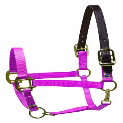 Perri's Premium Nylon Safety Halter, Hot Pink, Cob