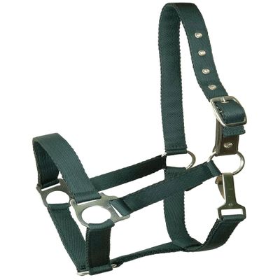 Gatsby Nylon Safety Breakaway Halter Cob Hunter