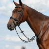 Collegiate Syntovia+ Plain Flat Running Martingale, Black, Full view 2