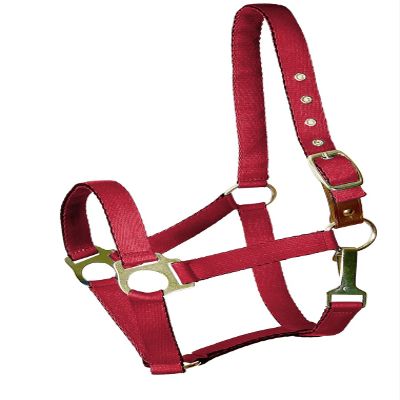 Gatsby Nylon Safety Breakaway Halter Cob Red