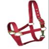 Gatsby Nylon Safety Breakaway Halter Cob Red view 1