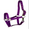 Gatsby Nylon Safety Breakaway Halter Cob Red view 2
