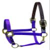 Perri's Premium Nylon Safety Halter, Purple, Mini B view 1