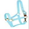 Gatsby Nylon Safety Breakaway Halter Cob Blue view 1