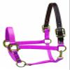 Perri's Premium Nylon Safety Halter, Horse, Hot Pink view 1