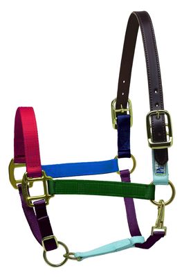 Perri's Premium Nylon Safety Halter, Pony, Navy