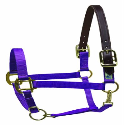 Perri's Premium Nylon Safety Halter, Pony, Lime