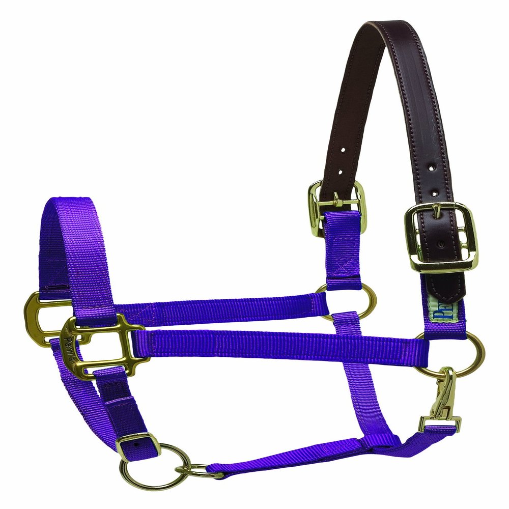Perri's Premium Nylon Safety Halter, Pony, Lime
